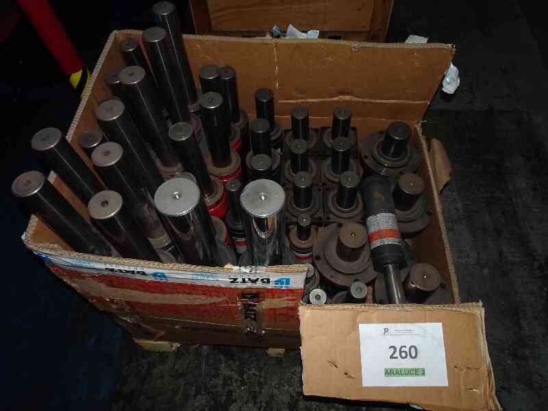 Lote 260 (Imagen 1 de 6)
