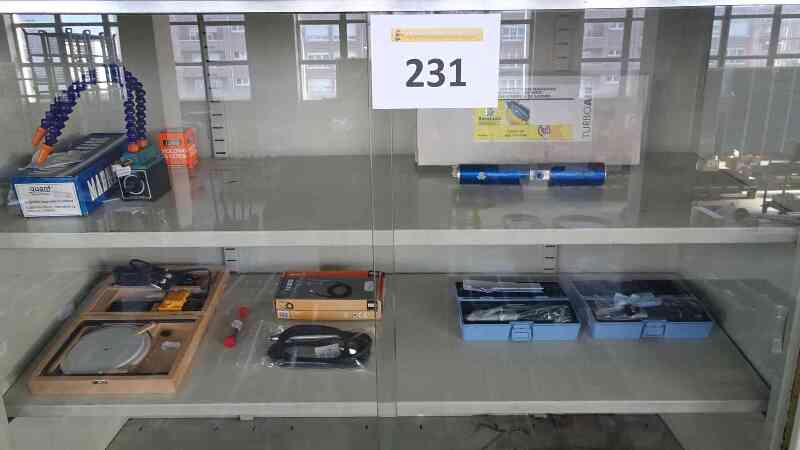 Lote 231 (Imagen 1 de 17)