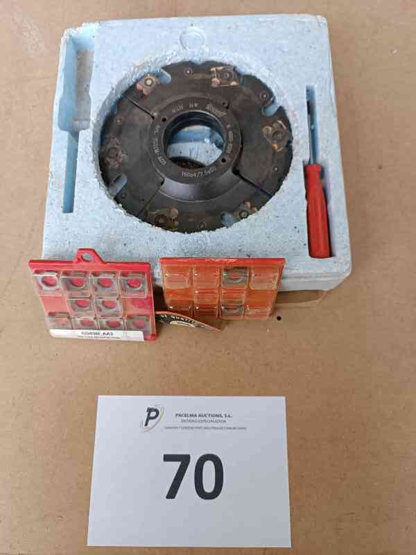 Lote 70 (Imagen 1 de 4)