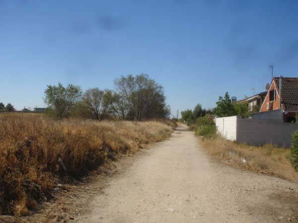 Lote 3 (Imagen 1 de 9)