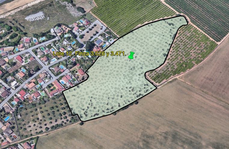 Lote 12 (Imagen 1 de 5)